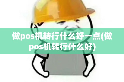 做pos机转行什么好一点(做pos机转行什么好)