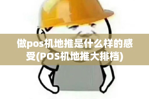 做pos机地推是什么样的感受(POS机地推大排档)