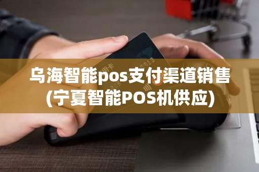 乌海智能pos支付渠道销售(宁夏智能POS机供应)