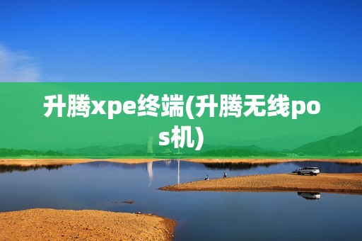 升腾xpe终端(升腾无线pos机)