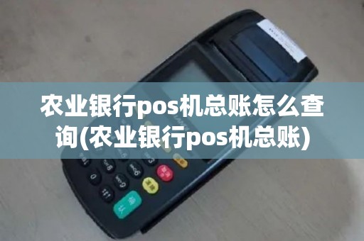 农业银行pos机总账怎么查询(农业银行pos机总账)