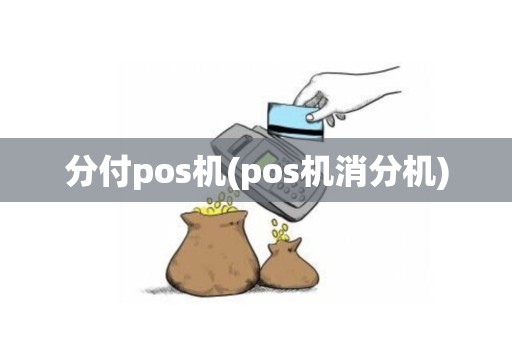 分付pos机(pos机消分机)