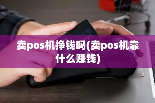 卖pos机挣钱吗(卖pos机靠什么赚钱)