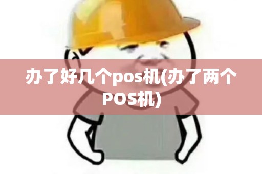 办了好几个pos机(办了两个POS机)