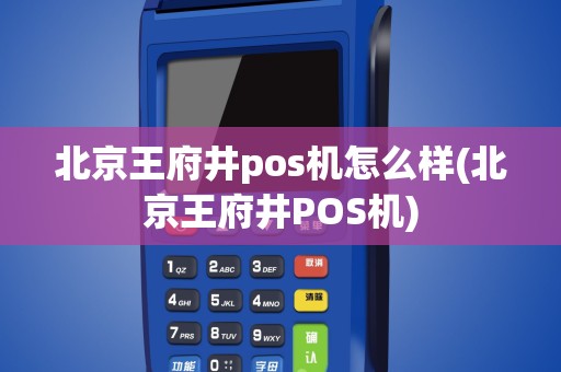 北京王府井pos机怎么样(北京王府井POS机)