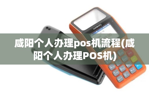 咸阳个人办理pos机流程(咸阳个人办理POS机)