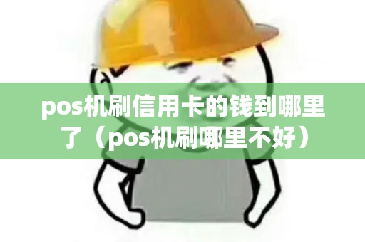 pos机刷信用卡的钱到哪里了（pos机刷哪里不好）