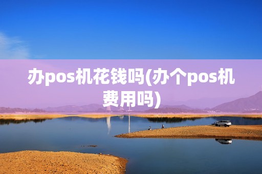 办pos机花钱吗(办个pos机费用吗)