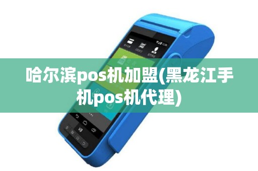 哈尔滨pos机加盟(黑龙江手机pos机代理)