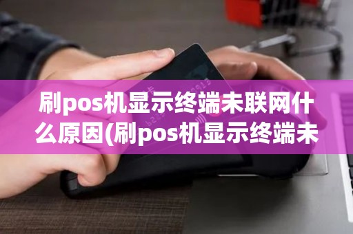 刷pos机显示终端未联网什么原因(刷pos机显示终端未联网)