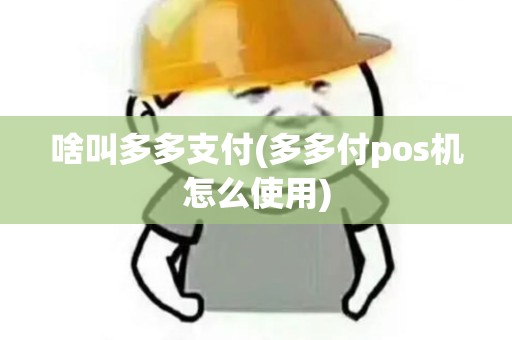 啥叫多多支付(多多付pos机怎么使用)