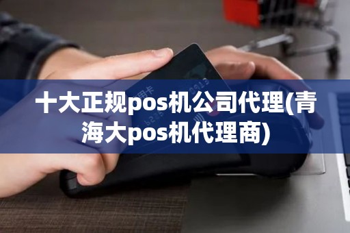 十大正规pos机公司代理(青海大pos机代理商)