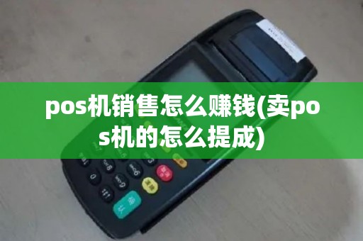 pos机销售怎么赚钱(卖pos机的怎么提成)