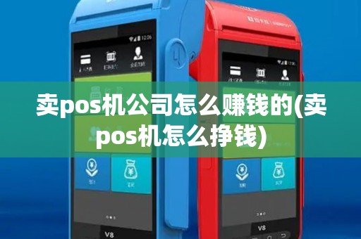 卖pos机公司怎么赚钱的(卖pos机怎么挣钱)