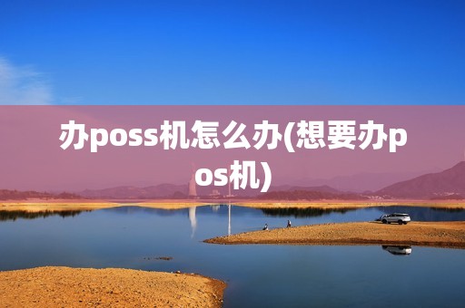 办poss机怎么办(想要办pos机)