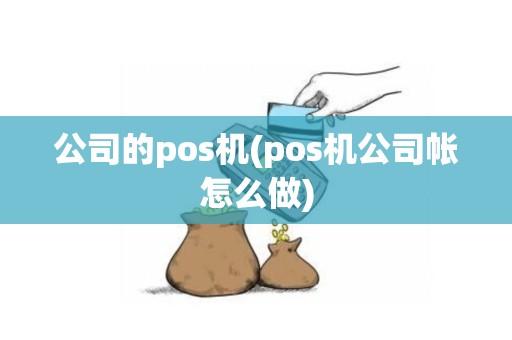 公司的pos机(pos机公司帐怎么做)