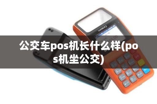 公交车pos机长什么样(pos机坐公交)