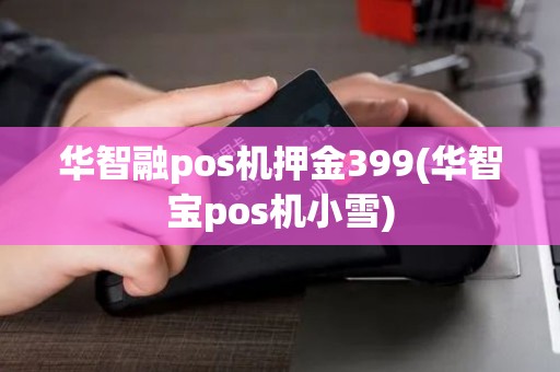 华智融pos机押金399(华智宝pos机小雪)