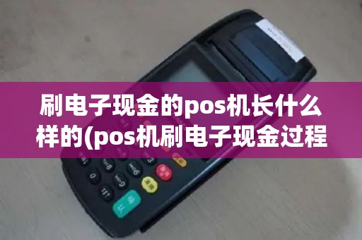 刷电子现金的pos机长什么样的(pos机刷电子现金过程)