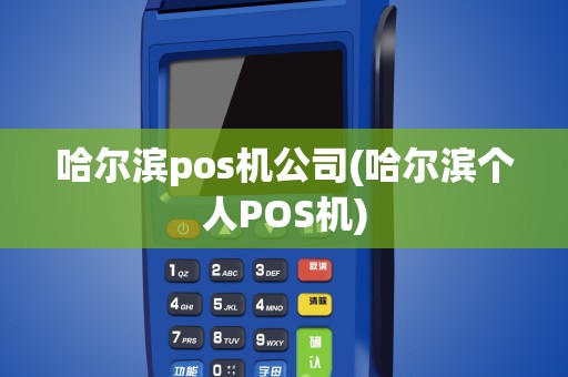 哈尔滨pos机公司(哈尔滨个人POS机)