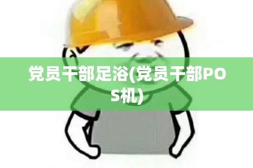 党员干部足浴(党员干部POS机)