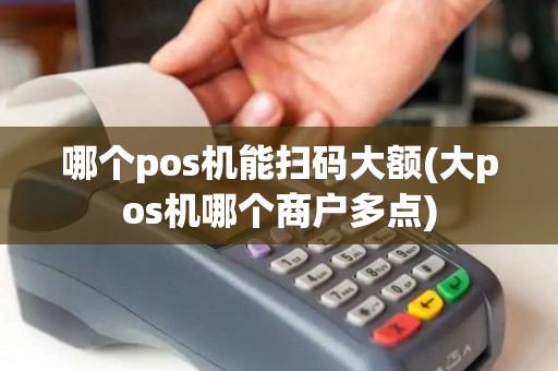 哪个pos机能扫码大额(大pos机哪个商户多点)